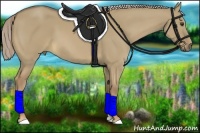 Horse Color:Chocolate Palomino Dun