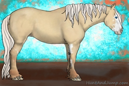 Horse Color:Silver Classic Champagne Dun Splash Frame 
