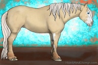 Horse Color:Silver Classic Champagne Dun Splash Frame 