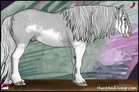 Horse Color:Silver Classic Champagne Chinchilla Dun Splash Frame 