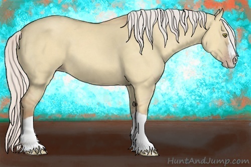 Horse Color:Silver Classic Champagne Dun Splash Frame