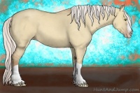 Horse Color:Silver Classic Champagne Dun Splash Frame