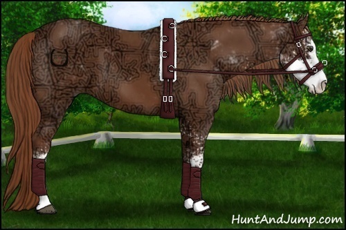 Horse Color:Chestnut Ice Sabino