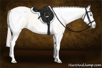 Horse Color:Perlino Splash Tobiano Frame
