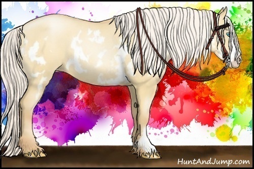 Horse Color:Silver Classic Champagne Pearl Dun Splash Frame 