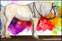 Horse Color:Silver Classic Champagne Pearl Dun Splash Frame 