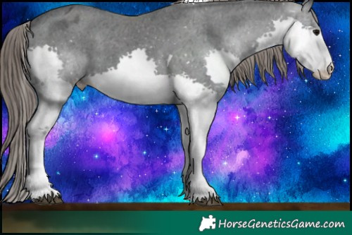 Horse Color:Black Splash Tobiano Varnish