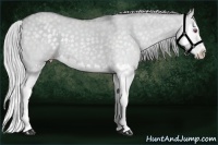 Horse Color:Silver Classic Champagne Chinchilla Dun Splash 