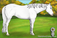 Horse Color:Gray White Spotted Cremello Dun Sabino Splash 