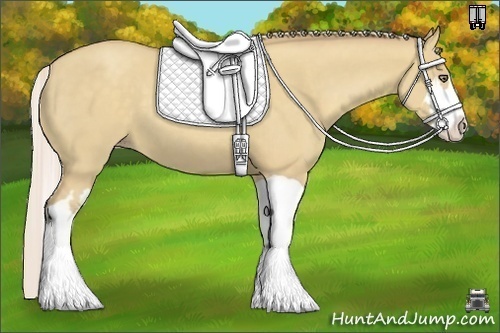 Horse Color:Silver Classic Champagne Dun Splash Frame