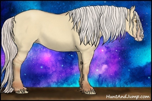 Horse Color:Silver Classic Champagne Dun Splash Frame 