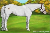 Horse Color:Silver Classic Champagne Chinchilla Roan Dun Tobiano