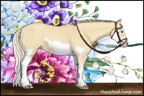 Horse Color:Silver Classic Champagne Dun Splash Frame