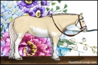 Horse Color:Silver Classic Champagne Dun Splash Frame