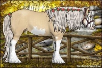 Horse Color:Silver Classic Champagne Dun Splash Frame 