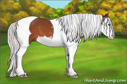 Horse Color:Silver Bay Sabino Splash Tobiano 