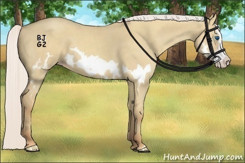 Horse Color:Silver Classic Champagne Dun Splash Frame 