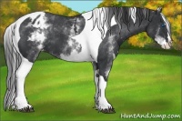 Horse Color:White Spotted Black Splash Tobiano Frame Varnish