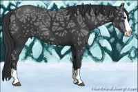 Horse Color:Black Ice Splash 