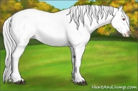 Horse Color:Bay Chinchilla Splash Frame Appaloosa  Brindle