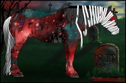 Horse Color:ERROR: UNKNOWN ANOMALY