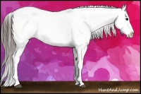Horse Color:White Spotted Black Splash Tobiano Frame Varnish