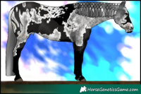 Horse Color:ERROR: UNKNOWN ANOMALY