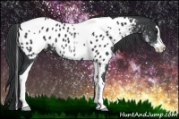 Horse Color:White Spotted Black Splash Tobiano Frame Appaloosa