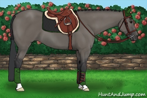 Horse Color:Grullo 