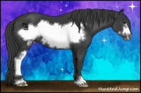 Horse Color:Black Sabino Frame