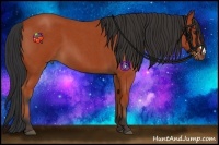 Horse Color:Bay Roan 