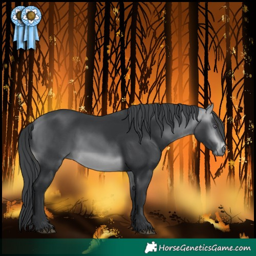 Horse Color:Bay Chinchilla