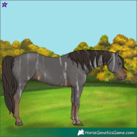 Horse Color:Liver Chestnut Ice 