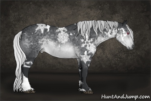 Horse Color:White Spotted Silver Brown Chinchilla Ice Tobiano 