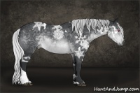 Horse Color:White Spotted Silver Brown Chinchilla Ice Tobiano