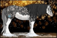 Horse Color:Blue Roan Splash 