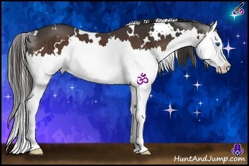 Horse Color:White Spotted Liver Chestnut Splash