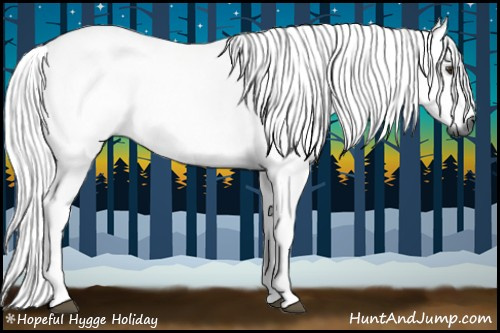 Horse Color:Gray Bay Roan