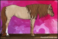Horse Color:Red Dun Roan