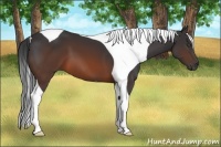 Horse Color:Brown Tobiano