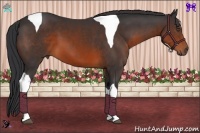 Horse Color:Brown Sabino Tobiano
