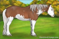 Horse Color:Silver Bay Sabino Splash