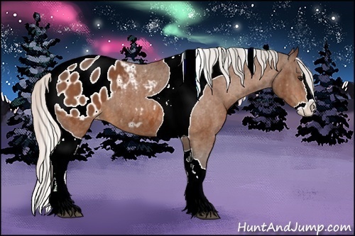 Horse Color:Silver Bay Splash Tobiano Blanket Brindle
