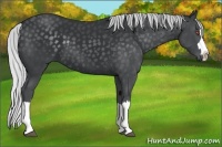 Horse Color:Silver Black Chinchilla Splash 