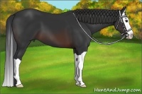 Horse Color:Brown Splash