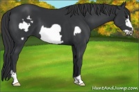 Horse Color:Black Frame 