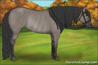 Horse Color:Grullo Rabicano 