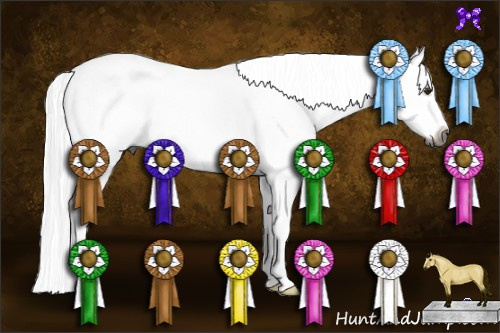 Horse Color:Gray Palomino Splash 