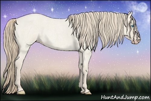 Horse Color:Smoky Creme Roan Dun 