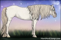 Horse Color:Smoky Creme Roan Dun